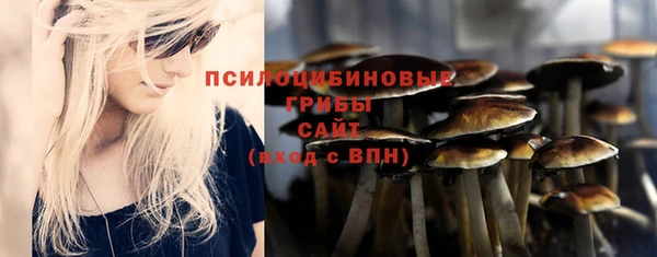 стафф Покачи
